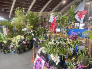 Hilo Orchid Show 2024