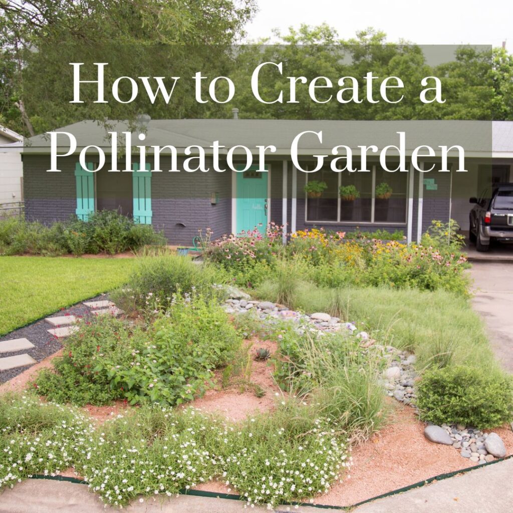 Create a pollinator garden