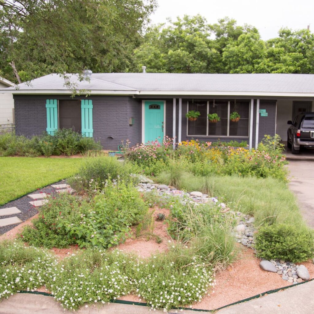Austin pollinator garden