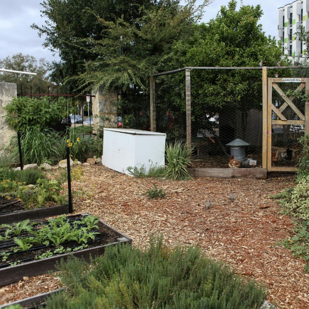 community garden