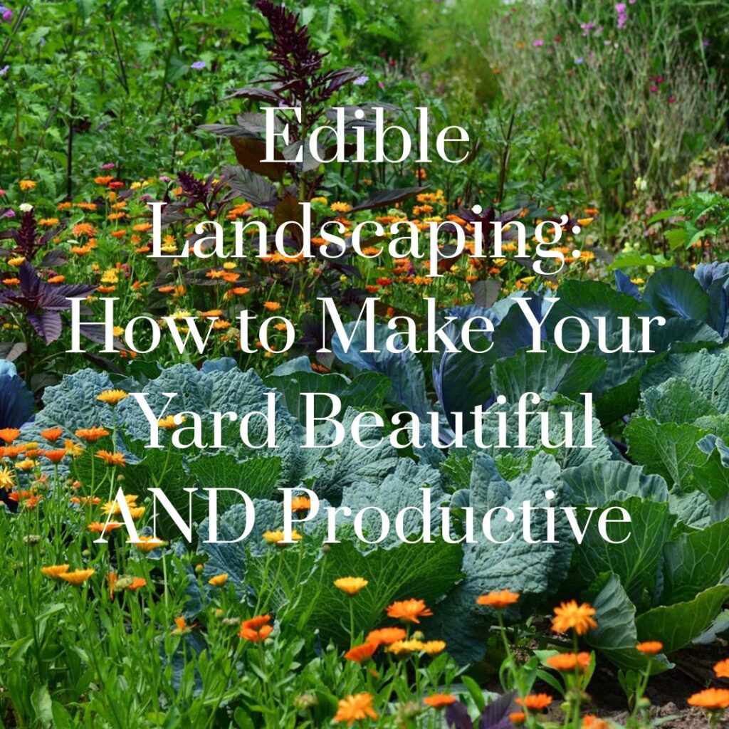 edible landscaping