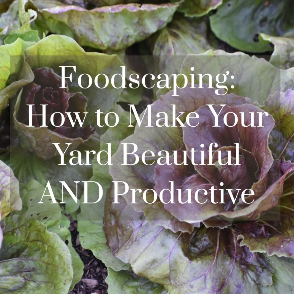 foodscaping