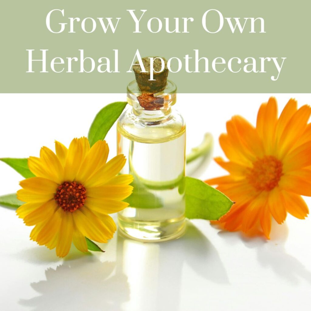 Grow Your own Herbal Apothecary