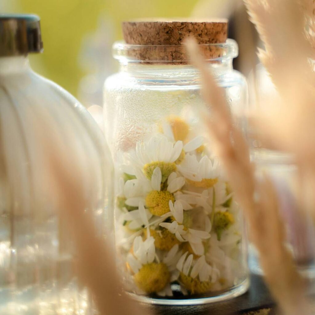 chamomile flowers in glass jar
