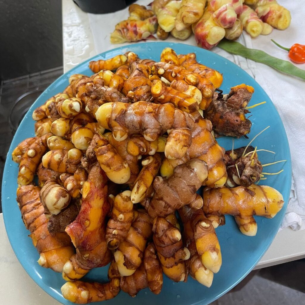 turmeric