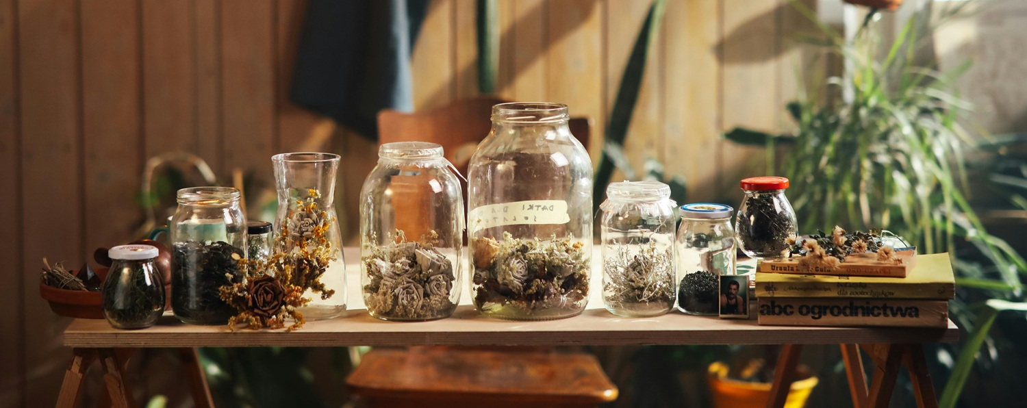 apothecary garden