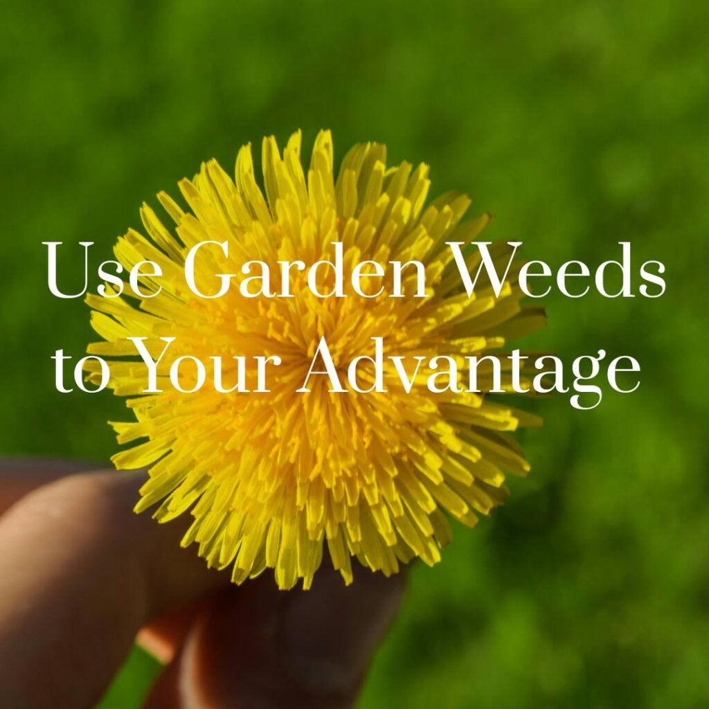 use garden weeds