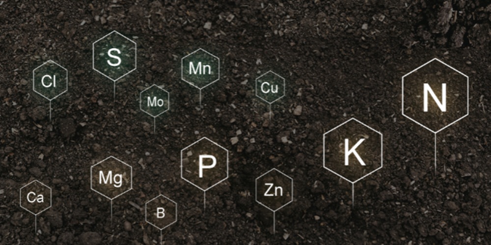 soil nutrients