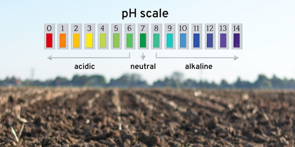soil ph