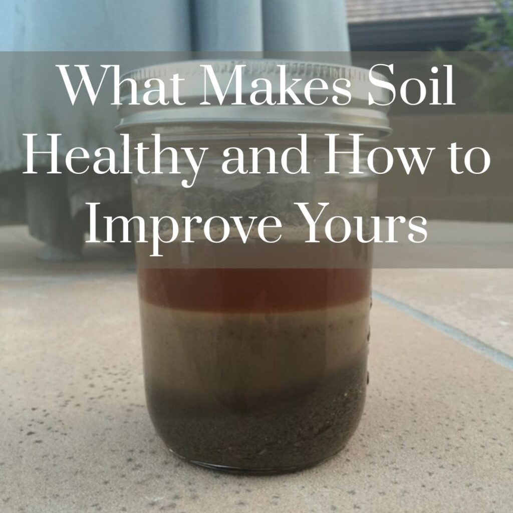 soil science 101