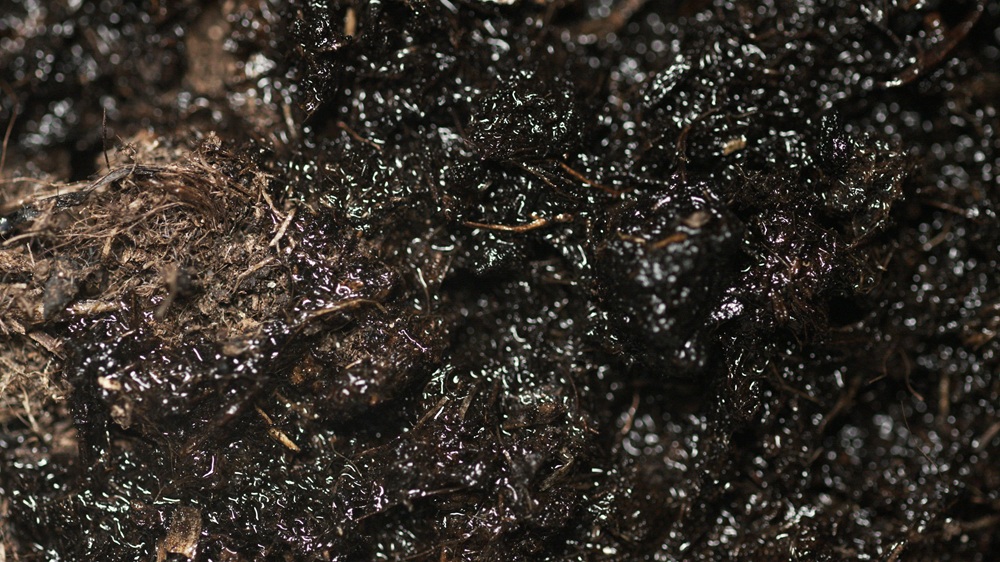soil with compost