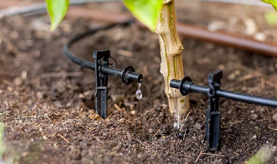 drip irrigation