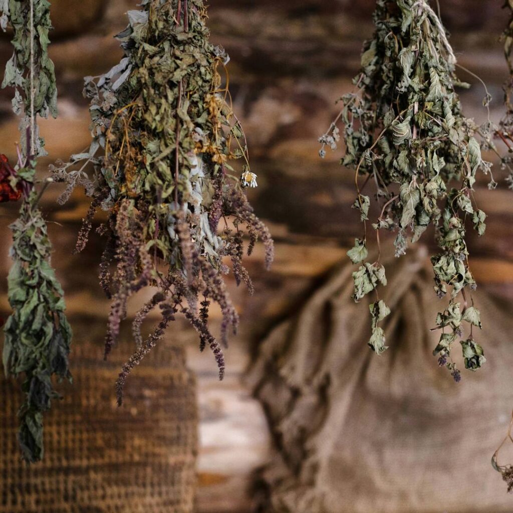 herbs drying