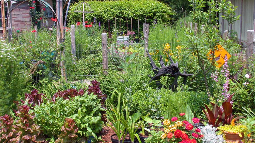 permaculture garden